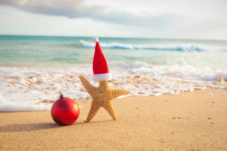 starfish wearing santa hat stuck in the sand on the beach