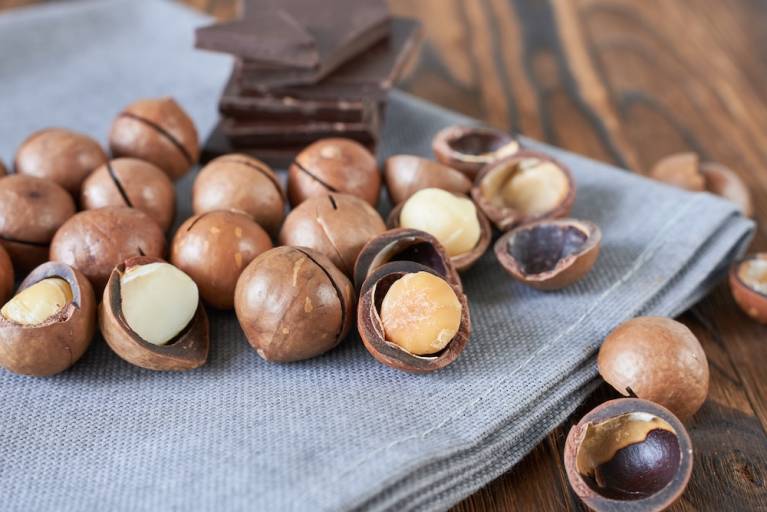 chocolate covered macadamia nuts