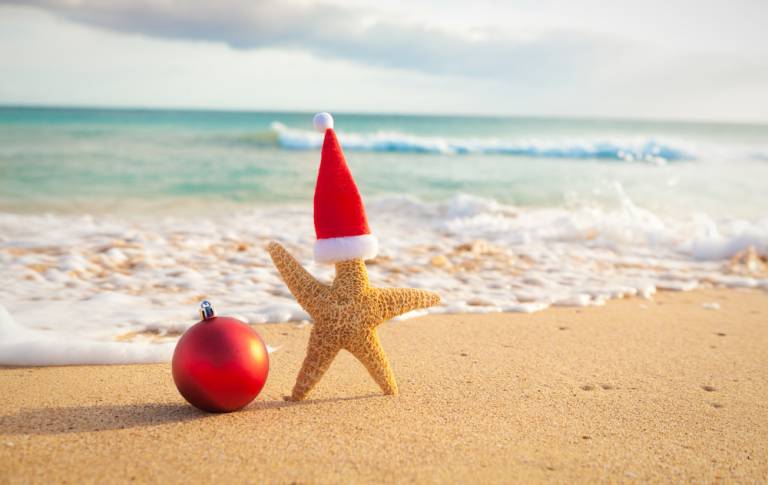 starfish wearing santa hat stuck in the sand on the beach