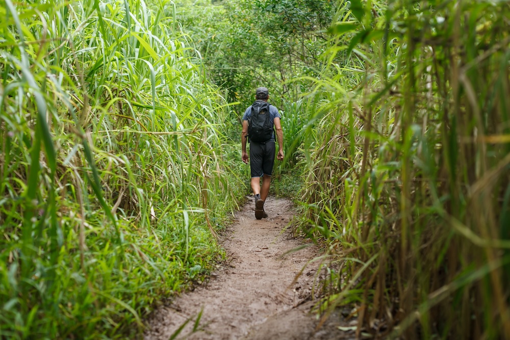 man walking down forrest trail